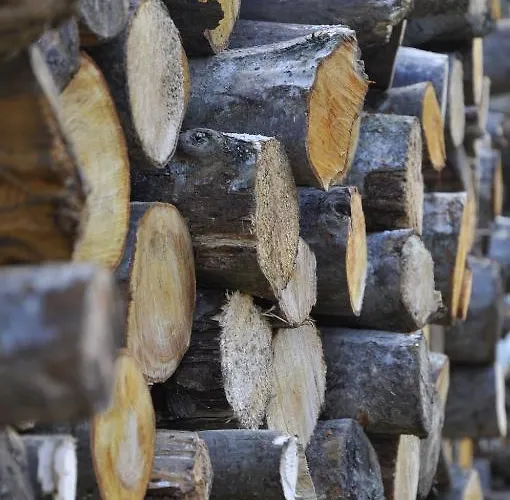 Popelka * Saalfelden