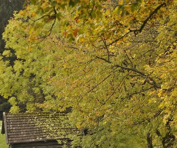 Popelka Appartamento *